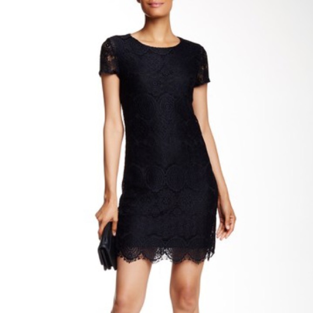 Laundry by Shelli Segal: short sleeve lace shift